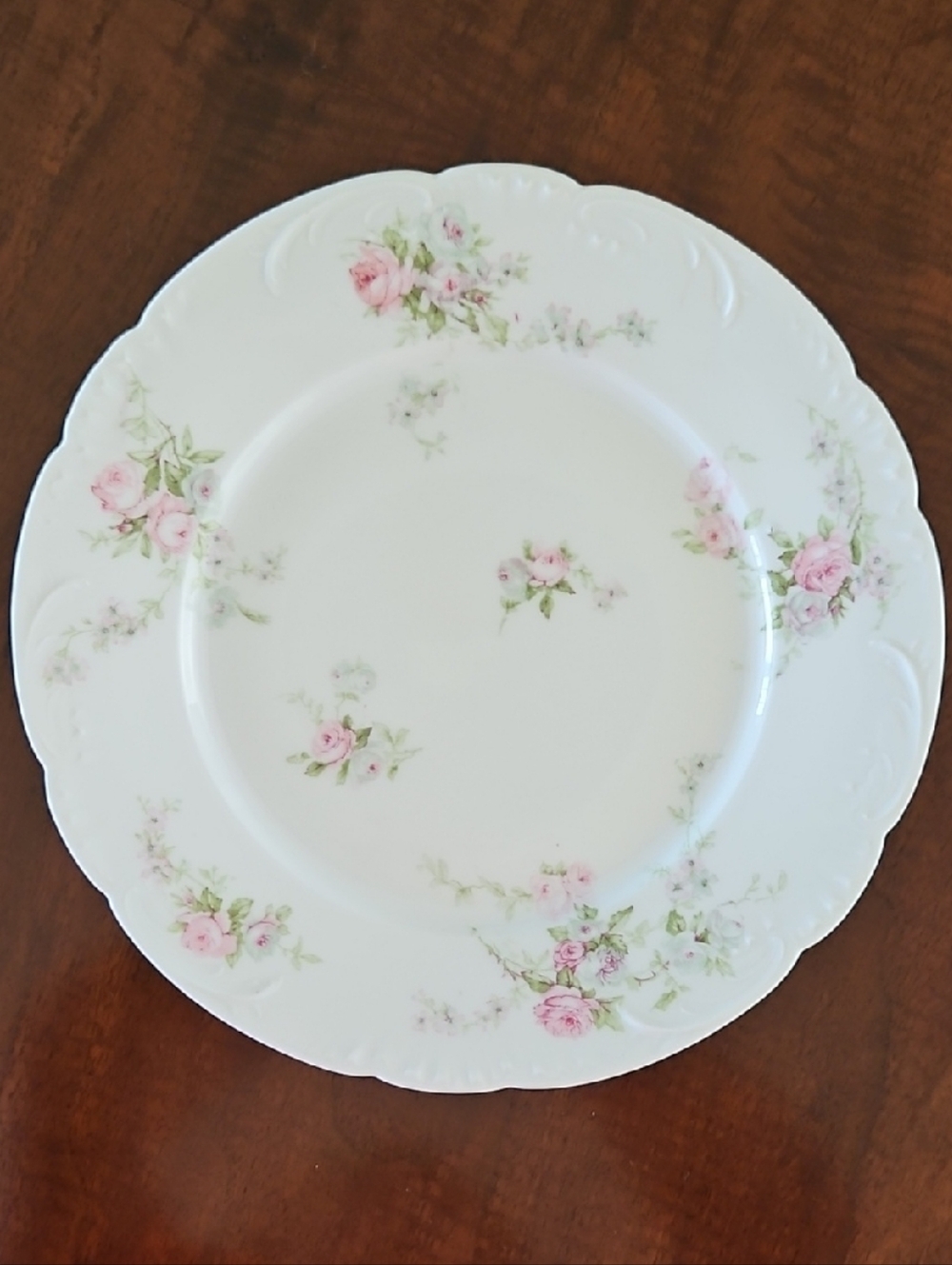 T Haviland Limoges Porcelain Dinner Plate, Set of 2